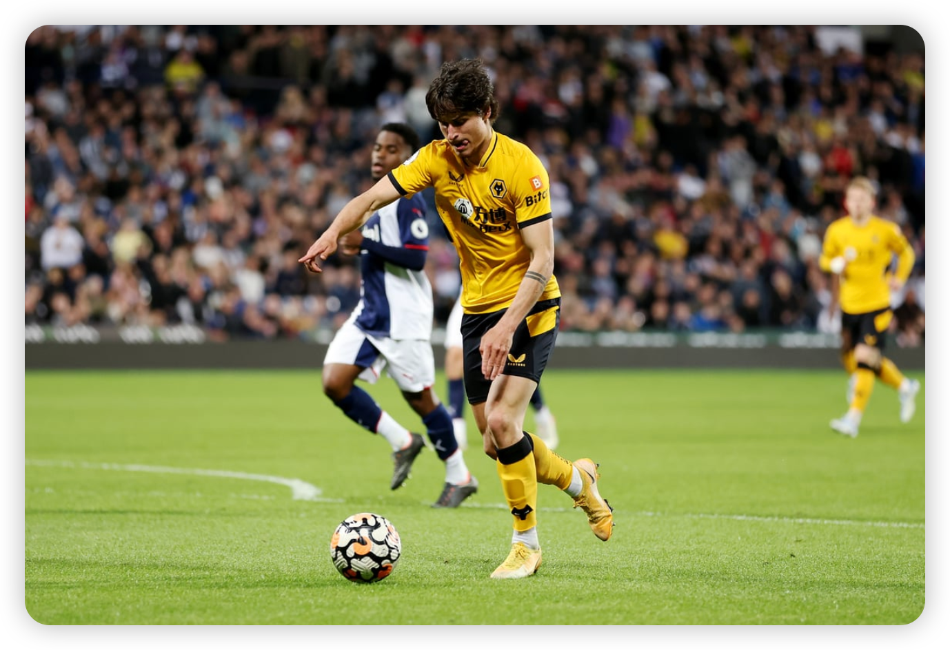 A Rollercoaster of Emotions at Molineux