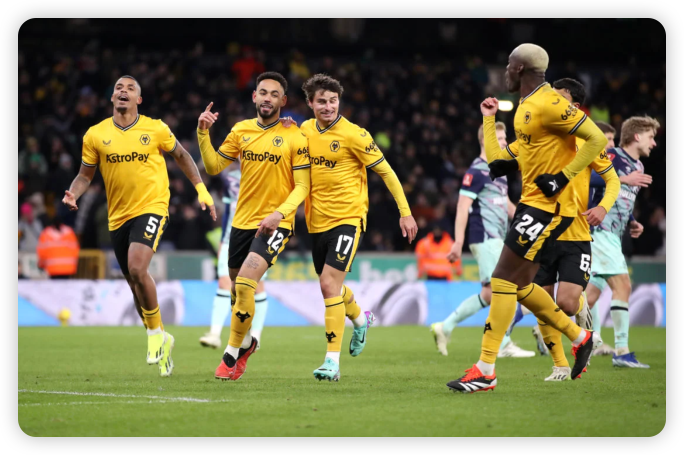 Wolves' Fighting Spirit Shines Through