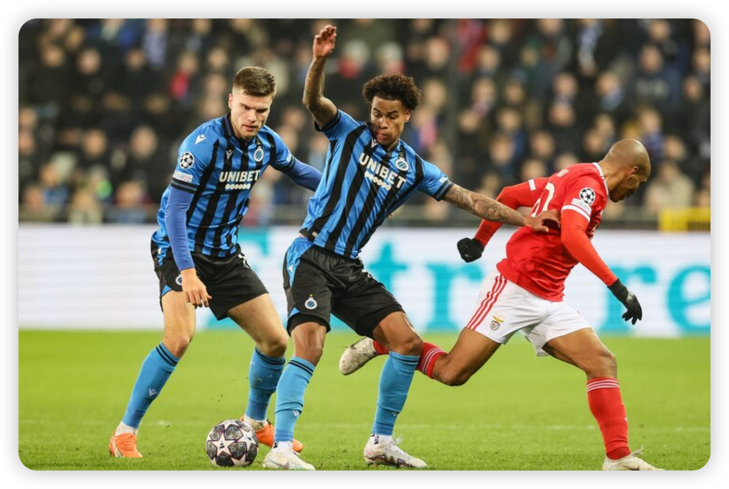 A Dream Job Turns Sour